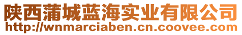 陜西蒲城藍(lán)海實(shí)業(yè)有限公司