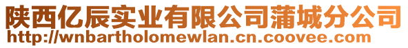 陜西億辰實(shí)業(yè)有限公司蒲城分公司