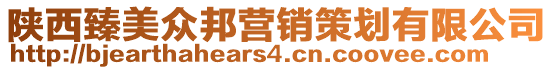 陜西臻美眾邦營銷策劃有限公司