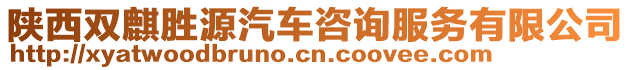 陜西雙麒勝源汽車咨詢服務(wù)有限公司