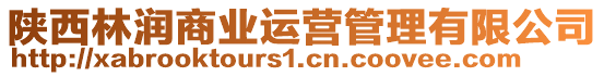 陜西林潤商業(yè)運營管理有限公司