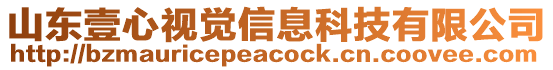 山東壹心視覺信息科技有限公司