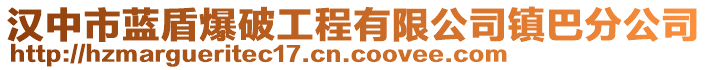 漢中市藍盾爆破工程有限公司鎮(zhèn)巴分公司