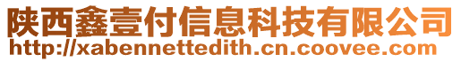 陜西鑫壹付信息科技有限公司