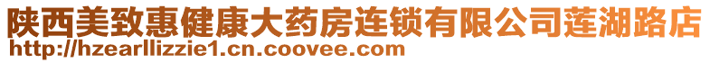 陜西美致惠健康大藥房連鎖有限公司蓮湖路店