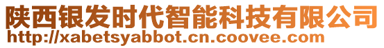 陜西銀發(fā)時代智能科技有限公司