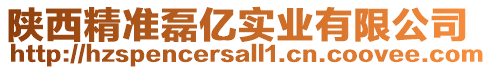 陜西精準(zhǔn)磊億實(shí)業(yè)有限公司