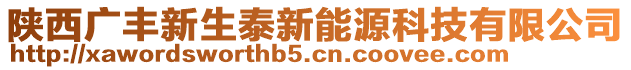 陜西廣豐新生泰新能源科技有限公司