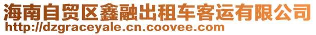 海南自貿區(qū)鑫融出租車客運有限公司