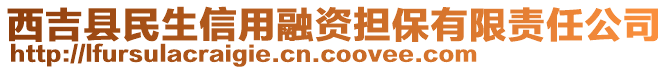 西吉縣民生信用融資擔(dān)保有限責(zé)任公司