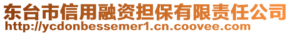 東臺市信用融資擔保有限責任公司