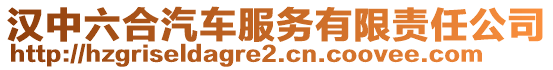 漢中六合汽車服務(wù)有限責(zé)任公司