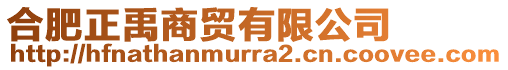 合肥正禹商貿(mào)有限公司