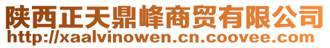 陜西正天鼎峰商貿(mào)有限公司