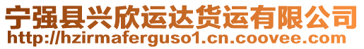 寧強(qiáng)縣興欣運(yùn)達(dá)貨運(yùn)有限公司