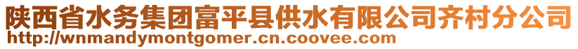 陜西省水務(wù)集團富平縣供水有限公司齊村分公司