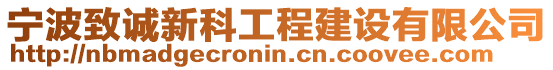 寧波致誠(chéng)新科工程建設(shè)有限公司