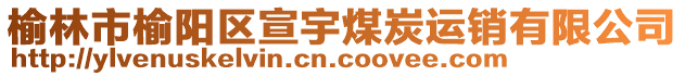 榆林市榆陽區(qū)宣宇煤炭運(yùn)銷有限公司