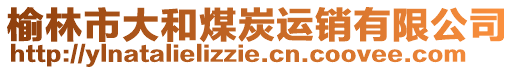 榆林市大和煤炭運(yùn)銷有限公司