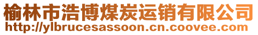 榆林市浩博煤炭運(yùn)銷有限公司