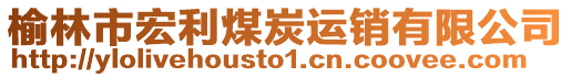 榆林市宏利煤炭運(yùn)銷(xiāo)有限公司