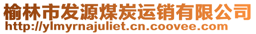 榆林市發(fā)源煤炭運銷有限公司