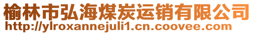 榆林市弘海煤炭運(yùn)銷(xiāo)有限公司