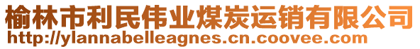 榆林市利民偉業(yè)煤炭運(yùn)銷有限公司