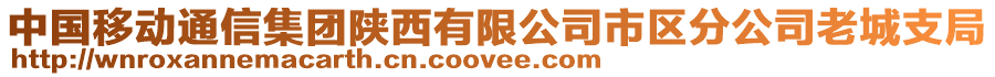 中國移動通信集團(tuán)陜西有限公司市區(qū)分公司老城支局