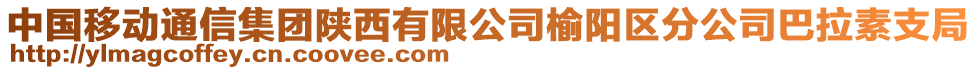 中國(guó)移動(dòng)通信集團(tuán)陜西有限公司榆陽(yáng)區(qū)分公司巴拉素支局