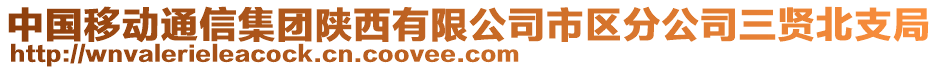 中國(guó)移動(dòng)通信集團(tuán)陜西有限公司市區(qū)分公司三賢北支局