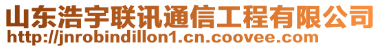 山東浩宇聯(lián)訊通信工程有限公司