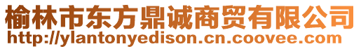 榆林市東方鼎誠(chéng)商貿(mào)有限公司