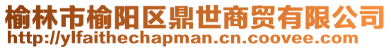 榆林市榆陽(yáng)區(qū)鼎世商貿(mào)有限公司