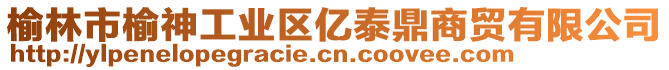 榆林市榆神工業區億泰鼎商貿有限公司