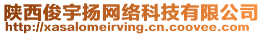 陜西俊宇揚(yáng)網(wǎng)絡(luò)科技有限公司
