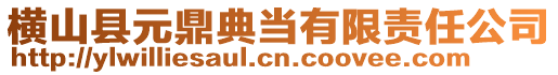 橫山縣元鼎典當(dāng)有限責(zé)任公司