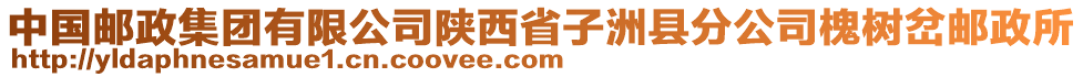 中國(guó)郵政集團(tuán)有限公司陜西省子洲縣分公司槐樹(shù)岔郵政所