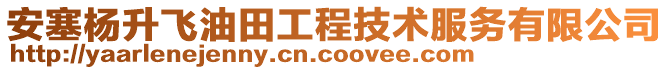 安塞楊升飛油田工程技術(shù)服務(wù)有限公司