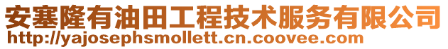 安塞隆有油田工程技術(shù)服務(wù)有限公司