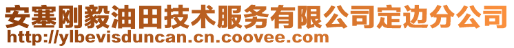 安塞剛毅油田技術(shù)服務(wù)有限公司定邊分公司