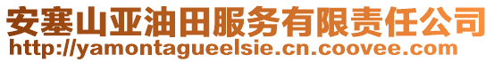 安塞山亞油田服務(wù)有限責(zé)任公司