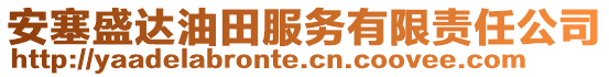 安塞盛達(dá)油田服務(wù)有限責(zé)任公司