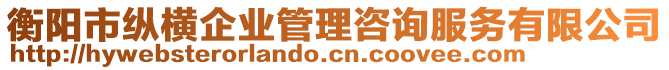 衡陽市縱橫企業(yè)管理咨詢服務(wù)有限公司