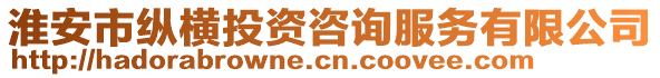 淮安市縱橫投資咨詢服務(wù)有限公司