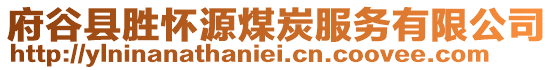 府谷縣勝懷源煤炭服務(wù)有限公司