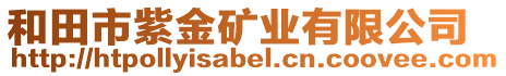 和田市紫金礦業(yè)有限公司