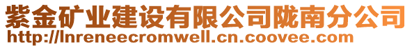 紫金礦業(yè)建設(shè)有限公司隴南分公司