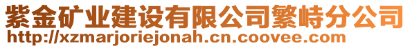 紫金礦業(yè)建設有限公司繁峙分公司