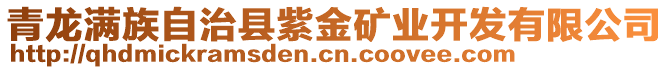 青龍滿族自治縣紫金礦業(yè)開發(fā)有限公司